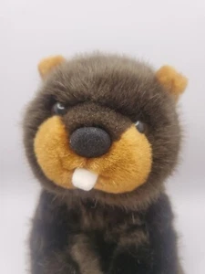 Steven Smith Beaver made for Marriott Courtyard Hotel plush adoption stuffed toy - Picture 1 of 10