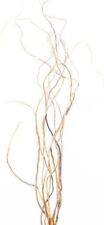 Richland Natural Curly Willow Branches 3'-4' Bundle Set of 6