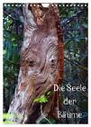 Die Seele der Bäume (Wandkalender 2024 DIN A4 hoch), CALVENDO Monatskalender