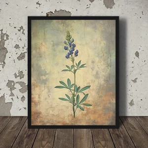 VINTAGE BLUEBONNET Wall Art, Retro TEXAS Flower Poster, Western Botanical Decor - Picture 1 of 17