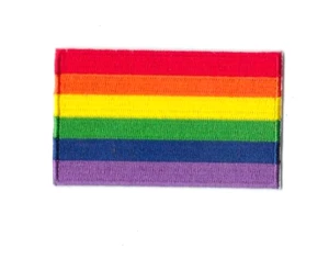 Gay Pride Flag Iron on Embroidered Patch Fabric Badge LGBTQ 5cm x 8cm - Foto 1 di 1