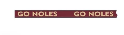 Desden Florida State FSU Beaded Purse Strap Cover