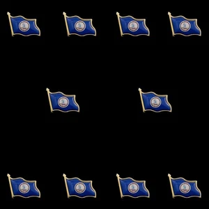 10 Stück Virginia Staatsflagge Anstecknadel Brosche Metallabzeichen National Patriotismus Staatsanstecknadel - Bild 1 von 11
