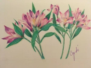 Dibujo a lápiz de colores flores FREESIA - Imagen 1 de 2