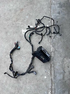 04-05 HONDA S2000 S2K CHASIS PASAJERO DERECHO FARO CABLEADO ARNÉS OEM - Imagen 1 de 6