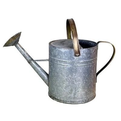 Vintage Galvanized Butterfly Water Can Country Farm Garden Copper Accents - Image 1 of 4