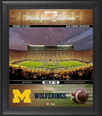 Wolverines Framed 15x17 Welcome Home Collage - Fanatics Cover
