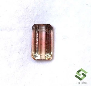 10x6 mm Certified Natural Bio Color Tourmaline Octagon Cut 2.58 CTS Loose Gems - Picture 1 of 8