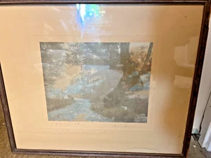Vintage DAVID DAVIDSON Hand Colored PHOTOGRAPH "Ye Olden Fern Path" Signed - Picture 1 of 3