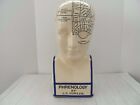 PHRENOLOGY BY L.N. FOWLERS~14" PORCELAIN BUST~THE HUMAN MIND