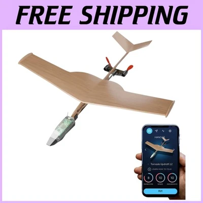 Balsa Wood Glider with Gyro Stabilizer - Image 1 of 4