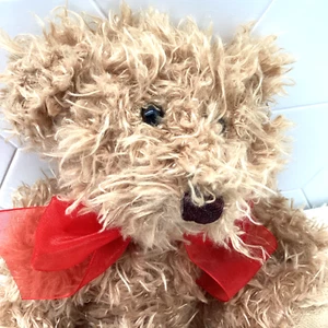 Pier 1 Imports Plüschbär Stofftier Fuzzy Shaggy rote Schleife hellbraun lockig sitzend - Bild 1 von 17