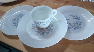 3 Termocrisa Mexican Milk Glass 9" Plates Blue & Brown Floral Swirl Edge & 1 Cup - Picture 1 of 10