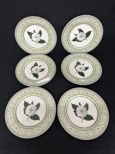 Royal Horticultural Society Applebee Camellia Dinner Plates X 6 27cm t2608 - Picture 1 of 9