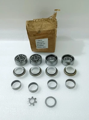 FP23514203 Kit Reparación Soplador Pequeño BRG (NUEVO) Foto 1 de 4