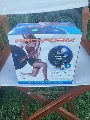Pro-Form 65cm. Exercise Ball Weighted Yoga With Workout Chart And DVD  - Image 1 of 3