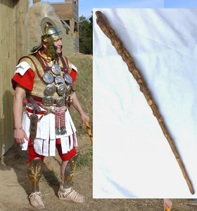 Roman legionary centurion vine staff vinewood rod switch club knotted branch 34" - Picture 1 of 7