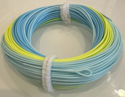 AirFlo SuperDRI C.A.S.T. Float WF9F Canadian Atlantic Salmon Fly Fishing Line! - Image 1 of 4