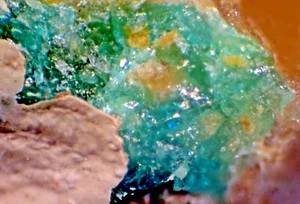 Bellingerita (Tipo/Única Localidad): Mina Chiquicamata, Antogagasta, Chile-Micromount - Imagen 1 de 3