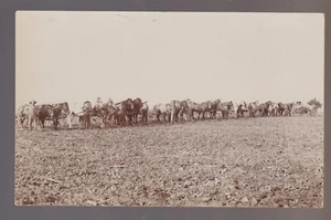 Iowa rppc 1910 FARMING SCENE Plowing Field Farm NEIGHBORS HELPING SICK FARMER B3 - Picture 1 of 3