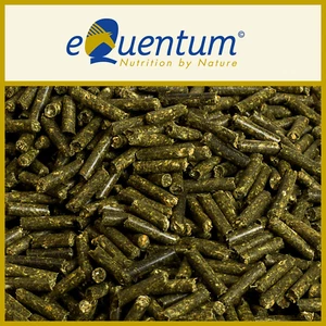 Hufhorn,Gelenke ,Sehnen,Bindegewebe,Zink,Pferdefutter,eQuentum-Kieselgur,1kg - Bild 1 von 1