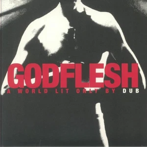 GODFLESH - A World Lit Only By Dub - Vinyl (12" + insert) - Picture 1 of 1