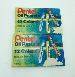 Pasteles al óleo Pentel 12 colores dos juegos ligeramente usados - Imagen 1 de 4