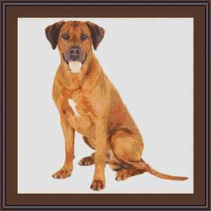 Rhodesian Ridgeback Hund Kreuzstich Set - Bild 1 von 2