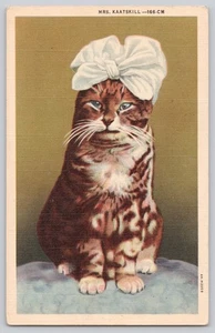 Antike Katze Postkarte draußen in den kalten Kätzchen deutsch handgetönt Philip & Sohn NY - Bild 1 von 3