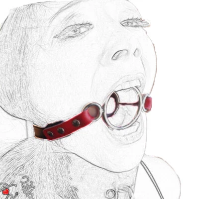 Breathable Open Mouth Gags Double O-Ring Harness Strap Oral Fixation Binding - Image 1 of 4