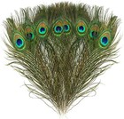 3pcs Natural Real Peacock Feather 24-30cm 10-12inch small