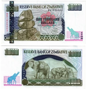 2003 Zimbabwe 1000 DOLLAR Banknote  UNC P12b ELEPHANT - Picture 1 of 1