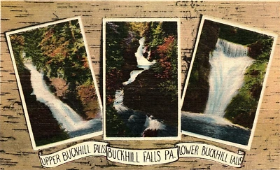 1930s BUCKHILL FALLS PA PENNSYLVANIA POCONO MTNS TRI-VIEW LINEN POSTCARD P533 - Image 1 of 3