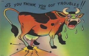 Vintage Americana Postkarte Leinen Humor 40er Jahre leer ohne Porto "Kuh Humor" - Bild 1 von 2