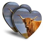 2x Heart MDF Coasters - Brown Fluffy Highland Scottish Cow  #16327
