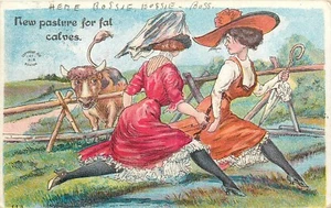 1911 Moda Mujeres Grasas Terneros Cómic Humor Postal Impresión Artista 24-10977 - Imagen 1 de 2