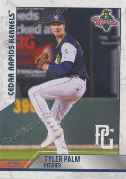 2021 Cedar Rapids Kernels Tyler Palm RC Rookie Minnesota Twins - Image 1 of 1