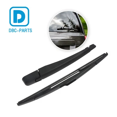 2008 - 2010 年克莱斯勒 Town & Country 道奇 Grand Caravan 后盖臂和刀片 — 第 1/4 张图片