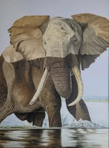 Original Oil Painting on canvas. Handmade. 80 x 60 cm. "Elephant majesty". - Picture 1 of 2