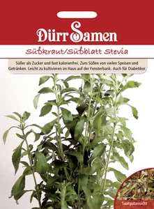 Süßkraut , Süßblatt Samen von Dürr Samen ca 15 Korn Garten Topfsüßkraut - Bild 1 von 1