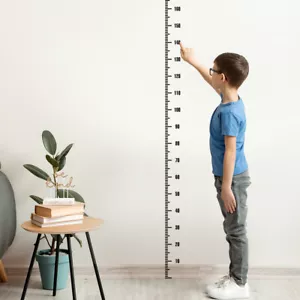Height Measure Decal Wall Sticker Cartoon Kids Room Baby Chart Growth - Picture 1 of 5