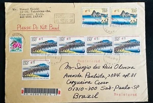 CM) 2000. JAPAN. BRIDGE. OLD PAINTING. BEE. ENVELOPE SENT TO BRAZIL. XF - Picture 1 of 1