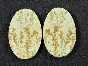 Natural Psilomelane Germane Dendrite pair Earring Making Stone 19X30X04 MM - Picture 1 of 9
