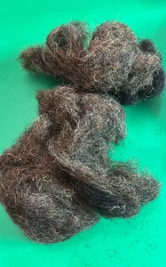 Antique Horse Hair Stuffing 1/2 lb Vintage Upholstery Restoration Supply - Picture 1 of 5