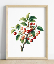 Cherries Wall Art Print, Cherries on a Branch Art Print, Fruit Kitchen Decor