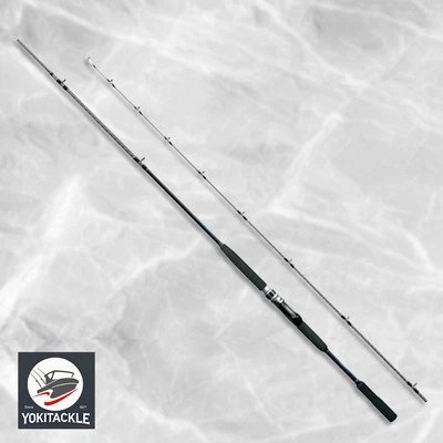 Shimano 20 SEAMIGHTY X TYPE 73 50-210 Offshore Bootsrute - Bild 1 von 2