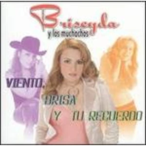 Viento, Brisa y Tu Recuerdo (CD) by Briseyda/Los Muchachos - Picture 1 of 1