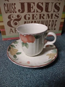 Mikasa Fruit Panorama Cup & Saucer DC014 - Picture 1 of 5