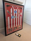 Signed Sunderland Framed Charlie Wyke Shirt + Medal Papa John's Final 35x 27