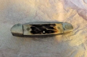 NEW COLT CANEO CT0121 2 BLADE STAG HANDLE POCKET KNIFE - Picture 1 of 11